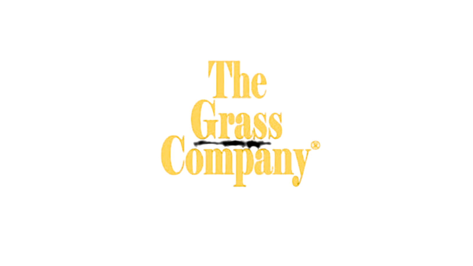 logo designs (3)